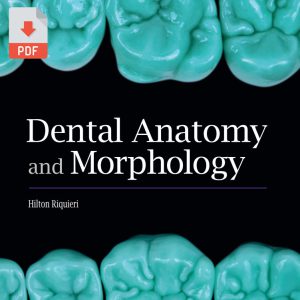 dental anatomy and morphology